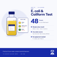 E. coli & Coliform Water Test – 48-Hour Home Bacteria Test