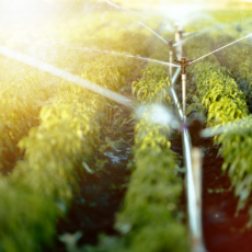 The DWA Agricultural & Irrigation Package