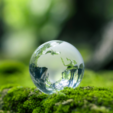 The Eco-Sentinel: Environmental Impact Package