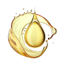 The Elite SANS-Compliance Package